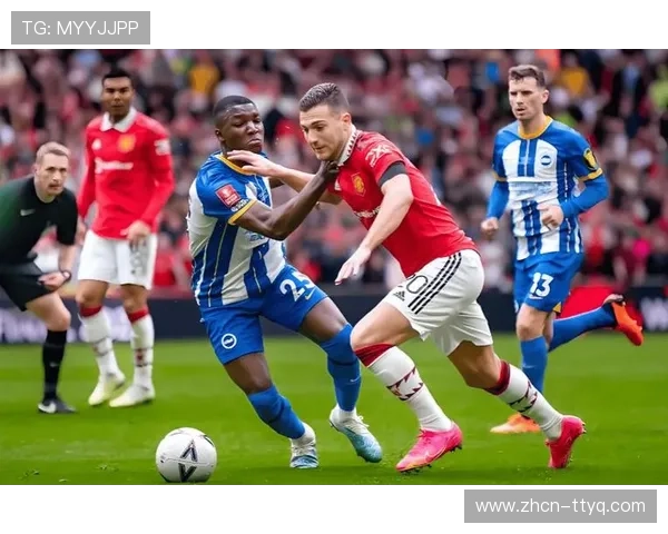 布莱顿水晶宫南岸德比，技术流风格主导比赛预期